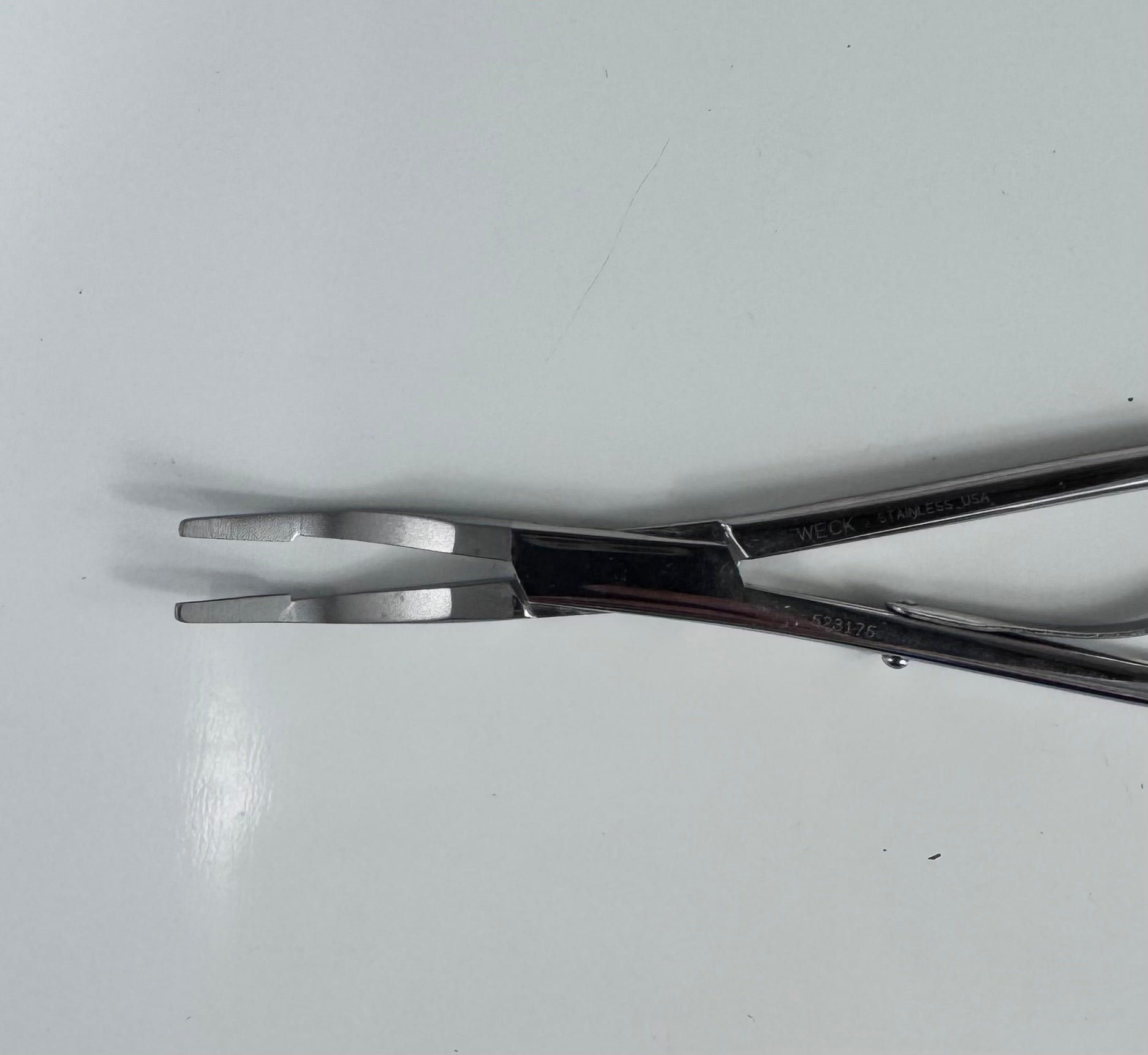 Weck 523175 | Tissue Forceps Stainless Steel, Surgical-Grade
