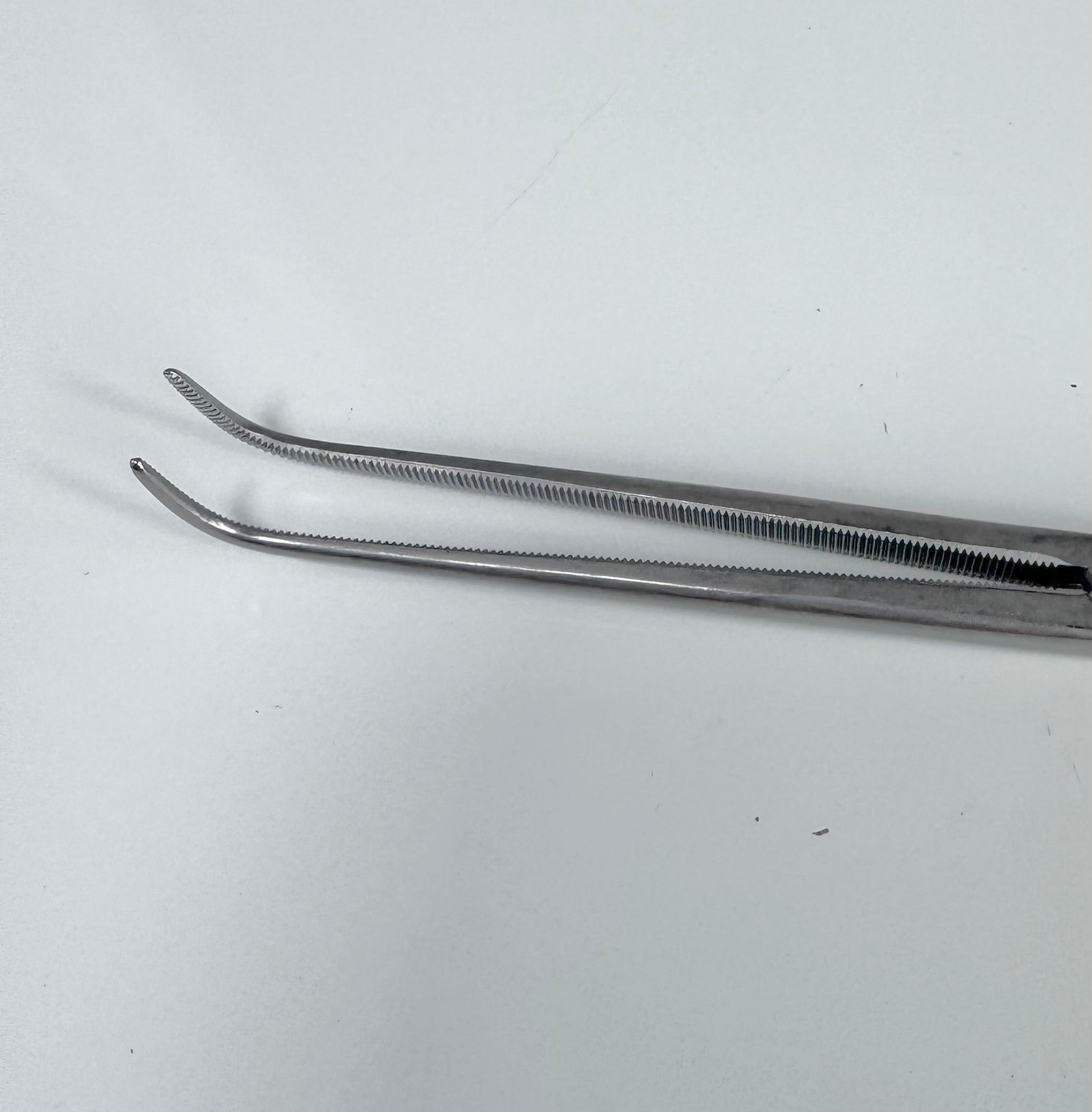 Aesculap BJ106R | 11", Curved, Serrated Gemini Right Angle Forceps